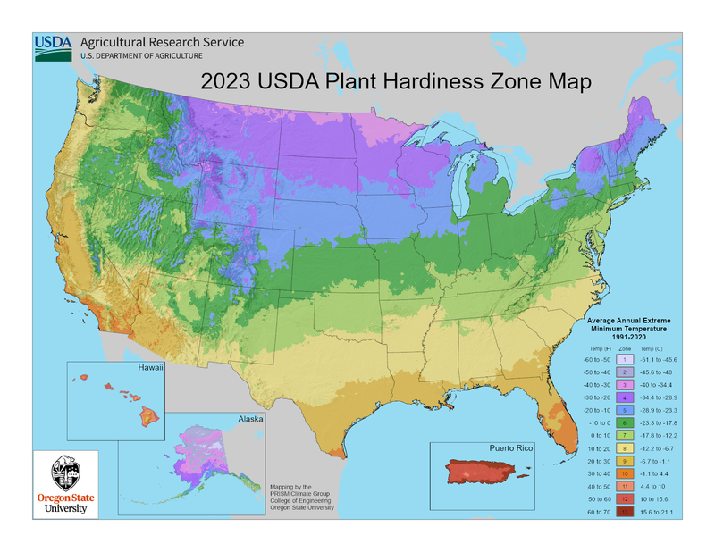 Official 2023 USDA Plant Hardiness Zone map